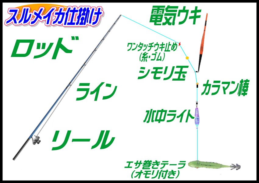 スルメイカ仕掛