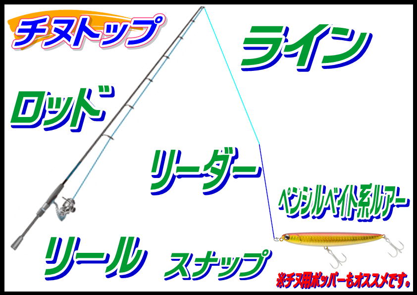 チヌトップ