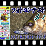2017-18 メバルフォトコン
