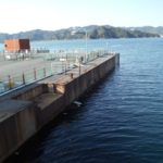 【兵庫】　海釣り公園メガフロート