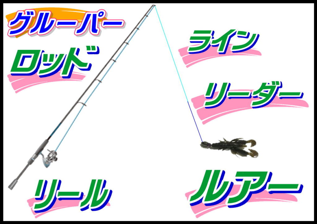 グル―パー（ハタ）