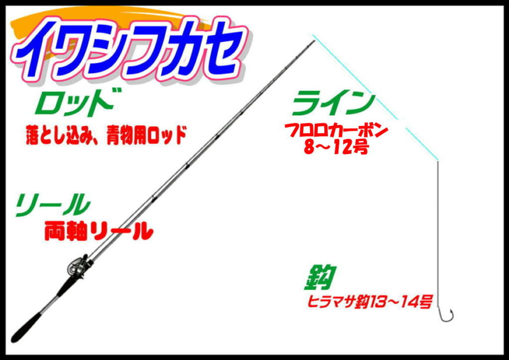 イワシフカセ