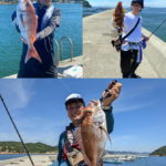 瀬戸内海でショア一つテンヤ！！