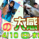 4月10日（日）まで　春の大感謝祭