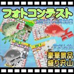 3月1日より6月30日まで＜2026春＞フォトコンテスト